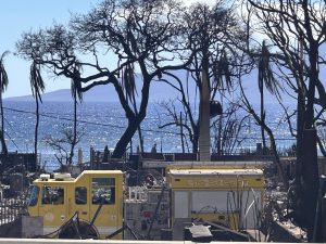 Injury Collision Reported on Lake Forest Dr