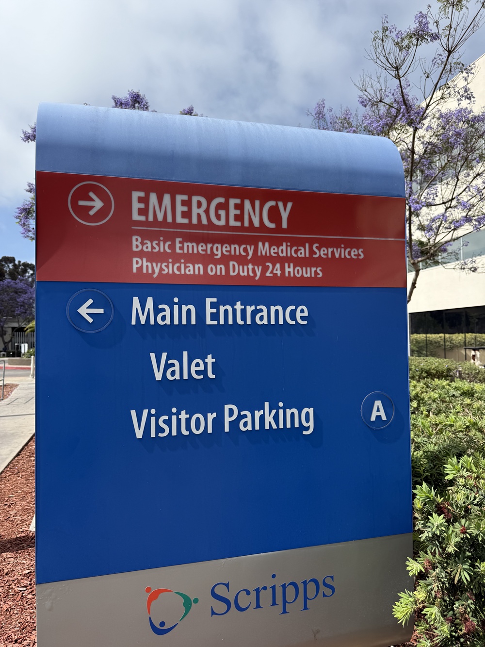 Los Angeles, CA – Person Injured in Animal Bite Incident at S Westlake Ave & W 6th St